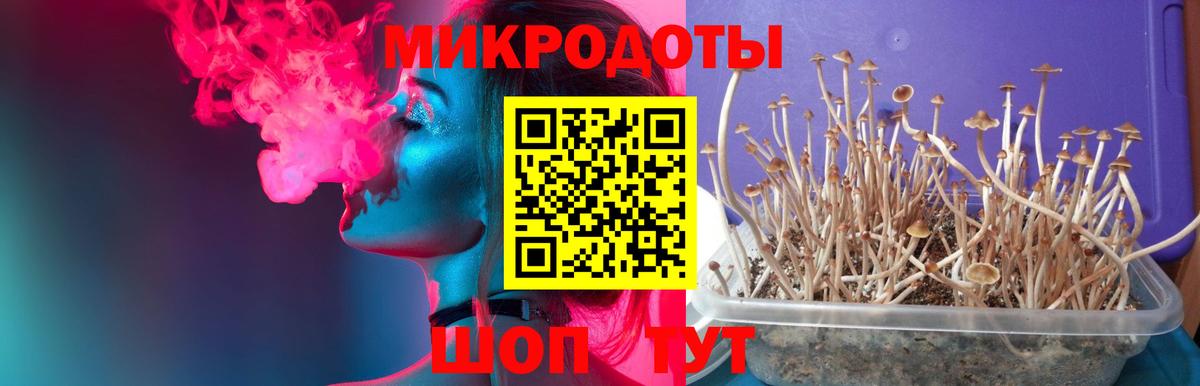 где найти   Псилоцибиновые грибы мицелий  Псилоцибиновые грибы Cubensis  Вход с VPN  Беслан 